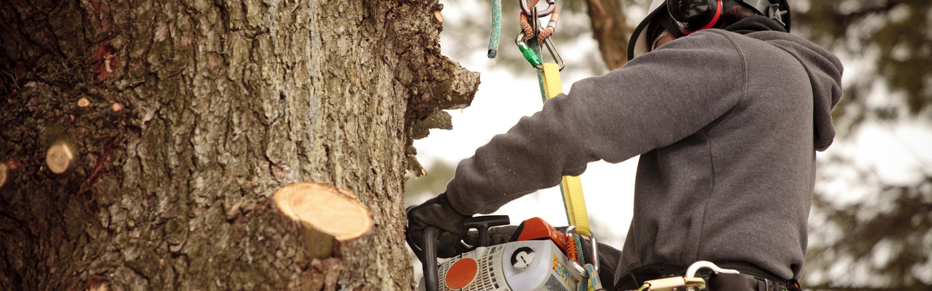 Worker awareness training session in progress